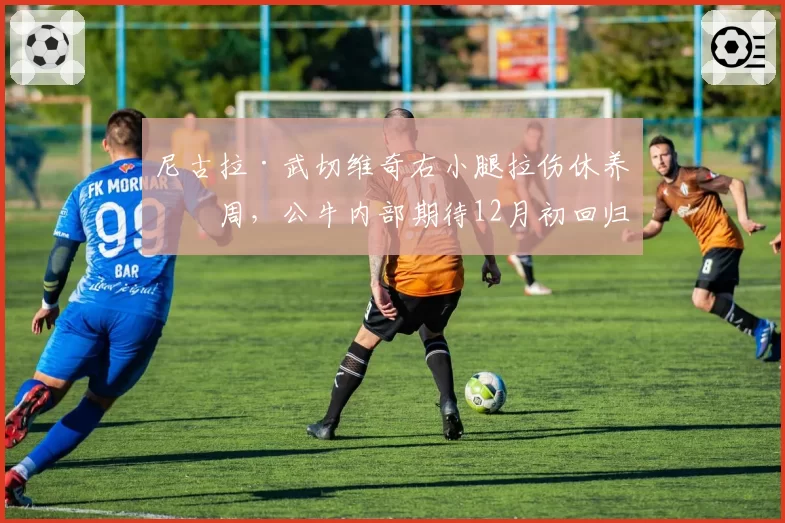 尼古拉·武切维奇右小腿拉伤休养六周，公牛内部期待12月初回归