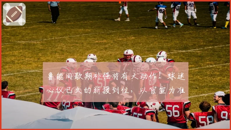 鲁能间歇期补强将有大动作！球迷心仪已久的新援到位，以官宣为准