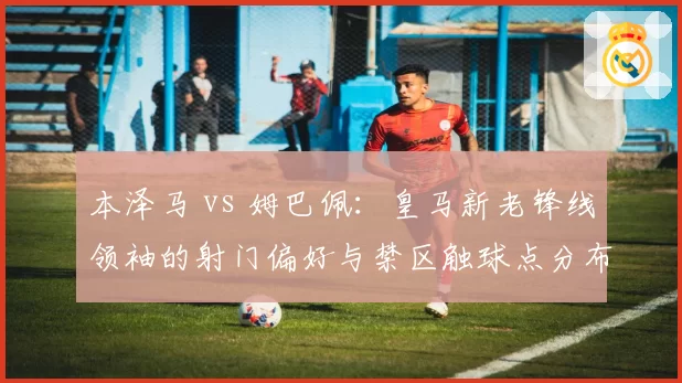 本泽马 vs 姆巴佩：皇马新老锋线领袖的射门偏好与禁区触球点分布