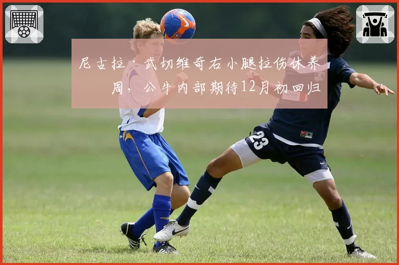 尼古拉·武切维奇右小腿拉伤休养六周，公牛内部期待12月初回归